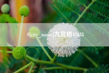 吴忠九宫格42633