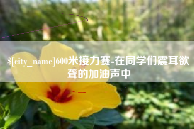 吴忠600米接力赛-在同学们震耳欲聋的加油声中