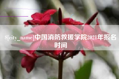 吴忠中国消防救援学院2021年报名时间
