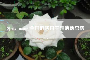 吴忠全国消防日主题活动总结