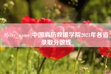 吴忠中国消防救援学院2021年各省录取分数线