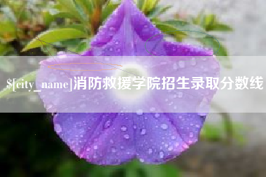 吴忠消防救援学院招生录取分数线