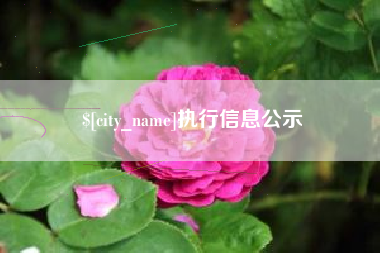 吴忠执行信息公示