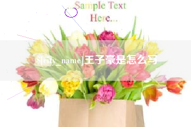 吴忠王子豪是怎么写