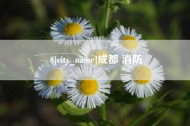 吴忠成都 消防