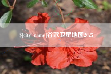 吴忠谷歌卫星地图2025