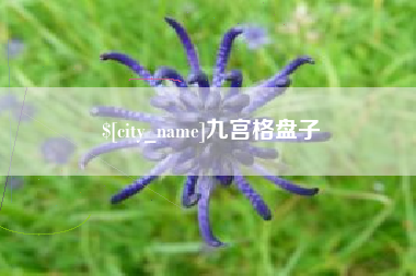 吴忠九宫格盘子