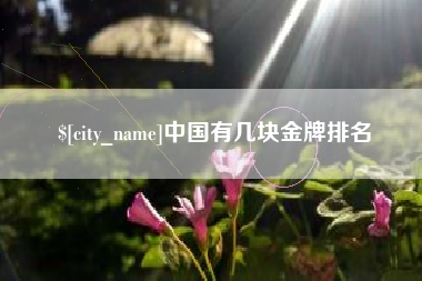 吴忠中国有几块金牌排名