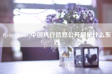 吴忠中国执行信息公开网是什么东西