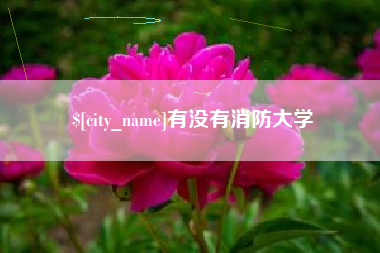 吴忠有没有消防大学