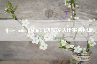 吴忠国家消防救援队伍报名网址