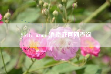 吴忠消控证官网查询