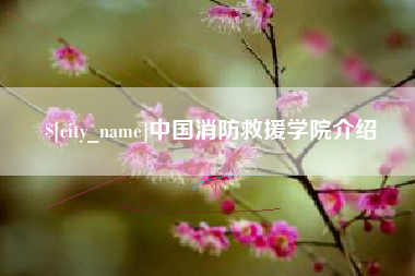 吴忠中国消防救援学院介绍