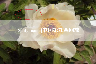 吴忠中国第九金回放