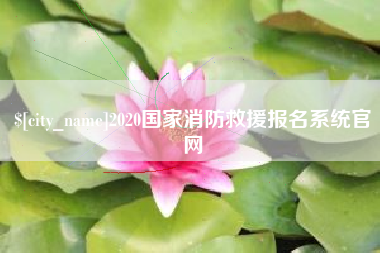 吴忠2020国家消防救援报名系统官网