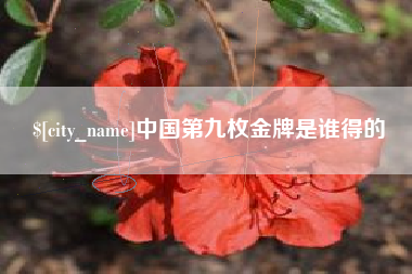 吴忠中国第九枚金牌是谁得的