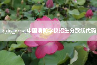 吴忠中国消防学校招生分数线代码