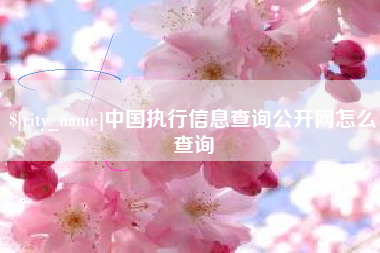 吴忠中国执行信息查询公开网怎么查询