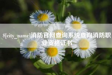 吴忠消防官网查询系统查询消防职业资格证书