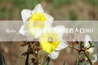 吴忠中国消防官网报名入口2024