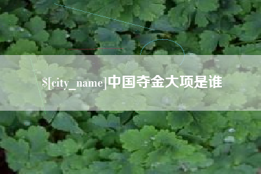 吴忠中国夺金大项是谁