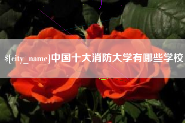 吴忠中国十大消防大学有哪些学校