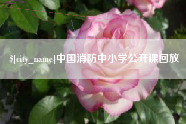 吴忠中国消防中小学公开课回放