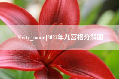吴忠2021年九宫格分解图