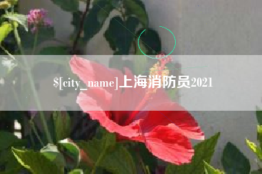 吴忠上海消防员2021