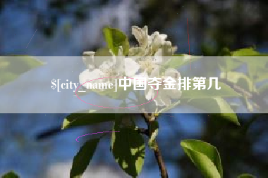 吴忠中国夺金排第几