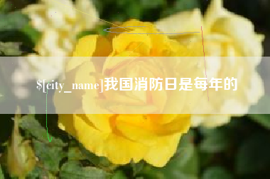 吴忠我国消防日是每年的