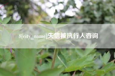 吴忠失信被执行人杳询