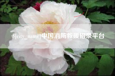 吴忠中国消防救援招录平台