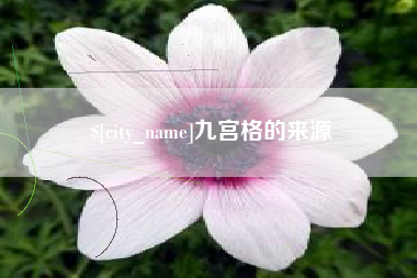 吴忠九宫格的来源