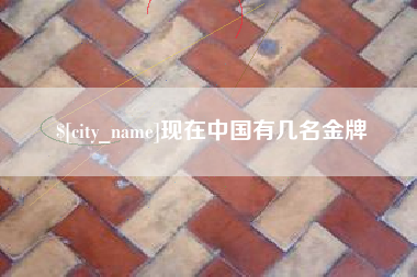 吴忠现在中国有几名金牌