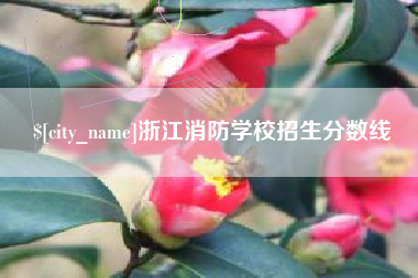 吴忠浙江消防学校招生分数线