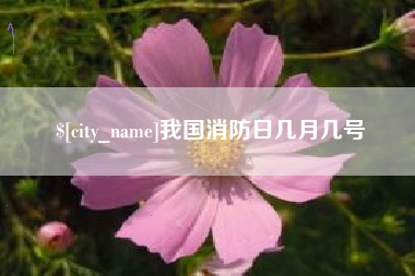 吴忠我国消防日几月几号