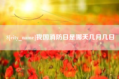 吴忠我国消防日是哪天几月几日