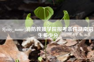 吴忠消防救援学院报考条件湖南招生多少分