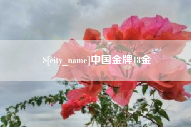 吴忠中国金牌18金