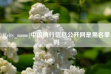 吴忠中国执行信息公开网是黑名单吗