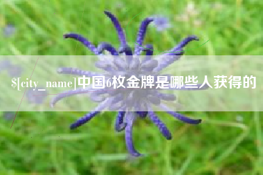 吴忠中国6枚金牌是哪些人获得的