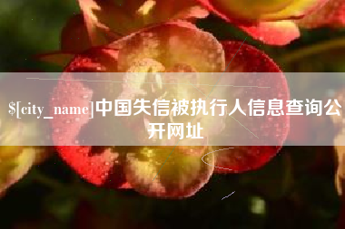 吴忠中国失信被执行人信息查询公开网址