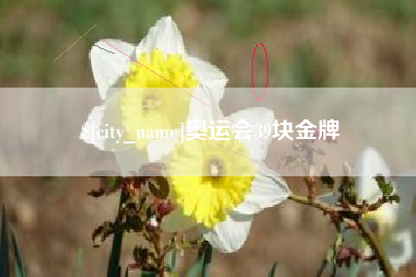 吴忠奥运会39块金牌