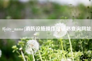 吴忠消防设施操作员证书查询网址