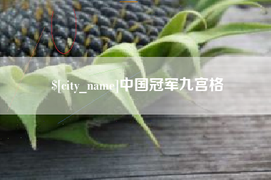 吴忠中国冠军九宫格