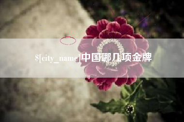 吴忠中国哪几项金牌