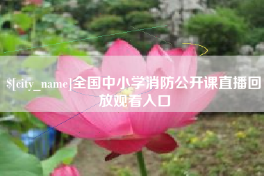 吴忠全国中小学消防公开课直播回放观看入口