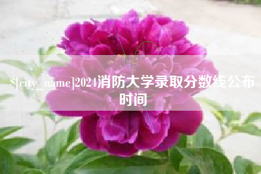 吴忠2024消防大学录取分数线公布时间