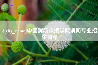 吴忠中国消防救援学院消防专业招生简章